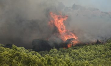 Μαίνεται φωτιά στη Δυτική Αχαΐα