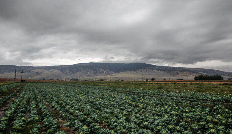 Βοιωτία: Αγρότης βρέθηκε νεκρός στο χωράφι του