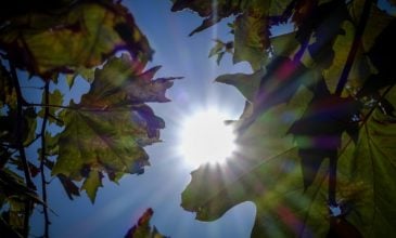 Ηλιοφάνεια και μικρή πτώση της θερμοκρασίας