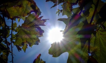 Βελτιωμένος ο καιρός την Τετάρτη – Ηλιοφάνεια και λίγες τοπικές νεφώσεις