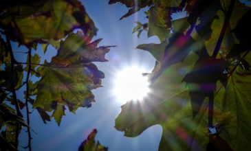 Καιρός: Ηλιοφάνεια σε όλη τη χώρα, την πρώτη ημέρα του Νοεμβρίου