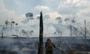Αμαζόνιος: Πάνω από 2,3 εκατομμύρια άγρια ζώα πέθαναν στις πυρκαγιές