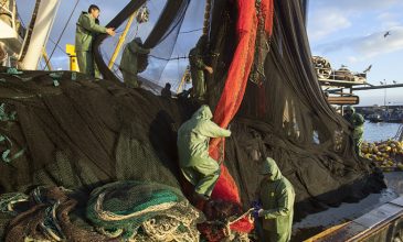 Καμπανάκι κινδύνου για την αλιεία στην Ελλάδα