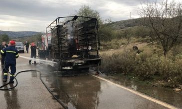 «Λαμπάδιασε» εν κινήσει φορτηγό με κοτόπουλα στην Αμφιλοχία