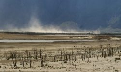 Απειλή για εκατομμύρια ανθρώπους η ξηρασία στη Νότιο Αφρική