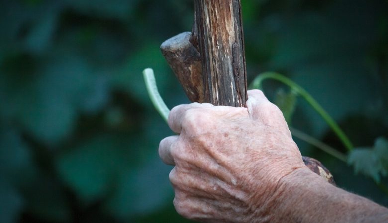 Σώος εντοπίστηκε 90χρονος που αγνοούνταν στη Χαλκιδική