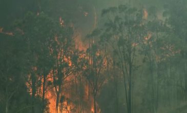 Χάος στην Αυστραλία: Μάχη με δεκάδες πυρκαγιές δίνουν οι πυροσβέστες