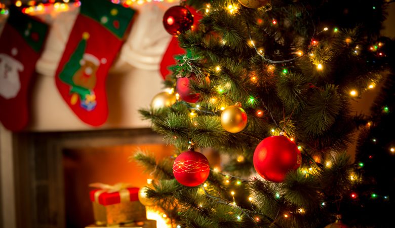 Η τρομακτική ανακάλυψη πάνω στο χριστουγεννιάτικο δέντρο που τους άφησε άφωνους