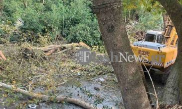 Δέντρο καταπλάκωσε και σκότωσε 67χρονο στα Χανιά
