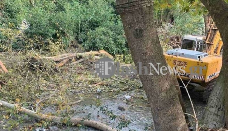 Δέντρο καταπλάκωσε και σκότωσε 67χρονο στα Χανιά