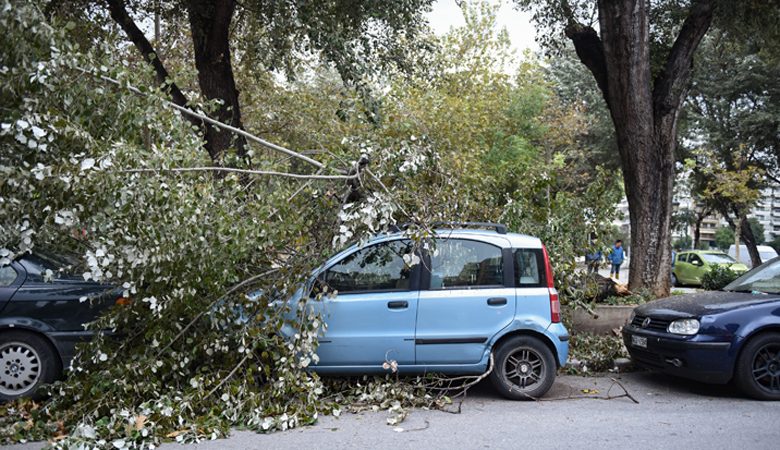 Θεσσαλονίκη: Πτώσεις δέντρων εξαιτίας των δυνατών ανέμων