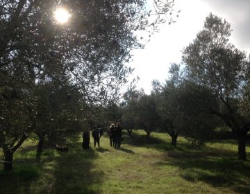 Το «Λάδι Πυργαδικίων» κυρίαρχο θέμα του promo tour του KOUZINA 2020