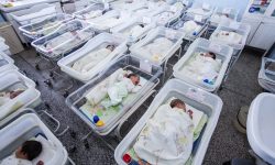 Το δημογραφικό πρόβλημα της Ελλάδας: Σημαντική η μείωση των γεννήσεων μετά το 1980