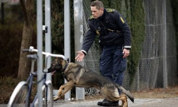 Δανία: 20 συλλήψεις για αποτροπή τρομοκρατικών επιθέσεων