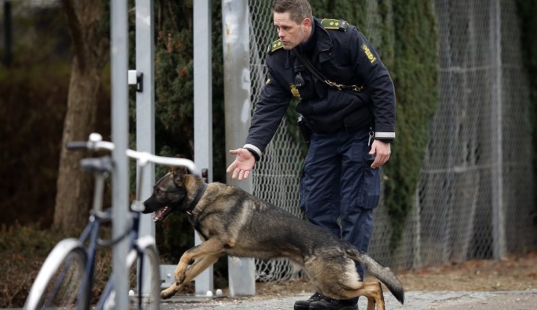 Δανία: 20 συλλήψεις για αποτροπή τρομοκρατικών επιθέσεων
