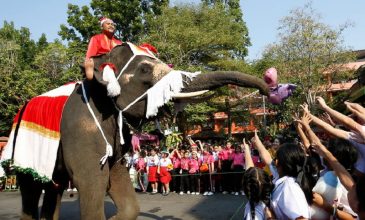 Ελέφαντες… Αγιοβασίληδες προσφέρουν χριστουγεννιάτικα δώρα σε παιδιά