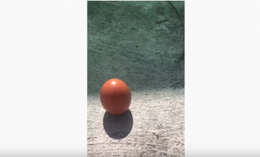 Μπορεί ένα αυγό να σταθεί όρθιο στη μύτη του; Το πείραμα που έγινε viral στην έκλειψη ηλίου