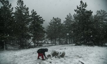 Τρίκαλα: Χιόνι μέχρι 20 εκατοστά στα ορεινά.