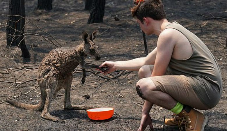 Αυστραλία: Η συγκινητική στιγμή που ένα καγκουρό ζητά βοήθεια από νεαρό αγόρι