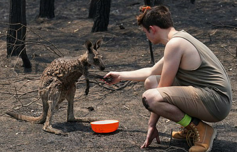 Αυστραλία: Η συγκινητική στιγμή που ένα καγκουρό ζητά βοήθεια από νεαρό αγόρι