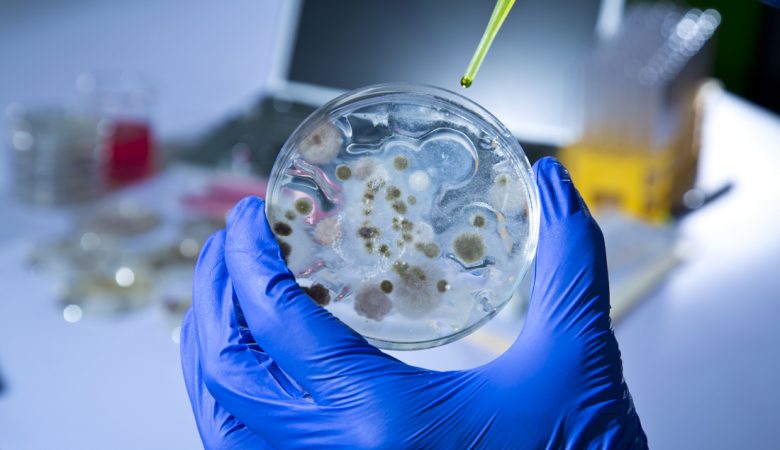 Η Pfizer δίνει 100 εκατ. δολάρια για την καταπολέμηση της Μικροβιακής Αντοχής