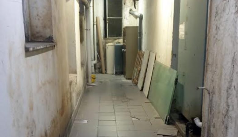 Εικόνες σοκ από το νοσοκομείο «Αλεξάνδρα» – Κατσαρίδες δημιούργησαν αποικίες στα υπόγεια του κτιρίου