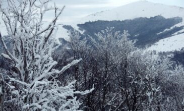 Έπεσε το πρώτο χιόνι στα ορεινα της Θεσσαλονίκης