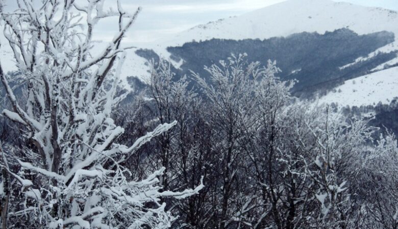 Λάρισα: Χιόνισε στα ορεινά του Κισσάβου