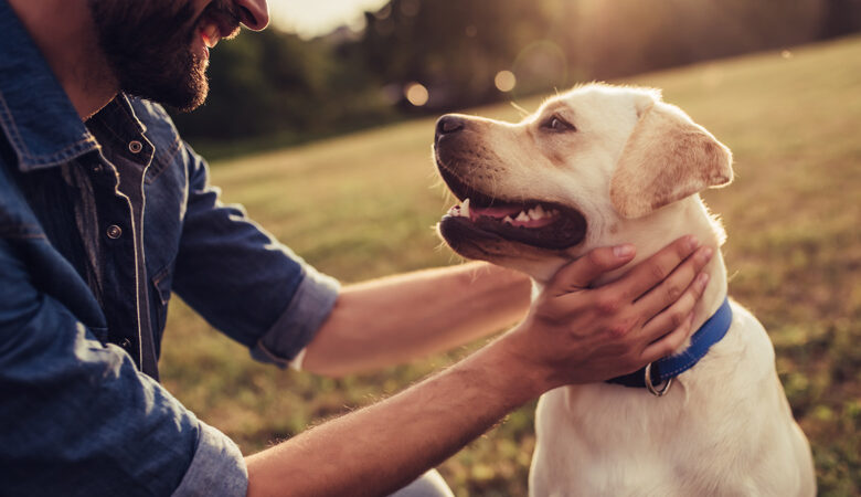 Η επιστημονική εξήγηση για την αγάπη ανθρώπων – σκύλων