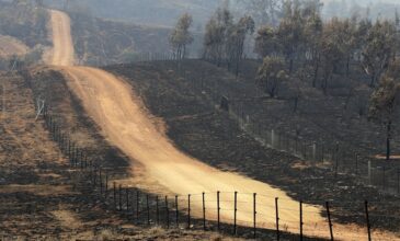 Οι πυρκαγιές κατέστρεψαν το ένα πέμπτο των δασών της Αυστραλίας