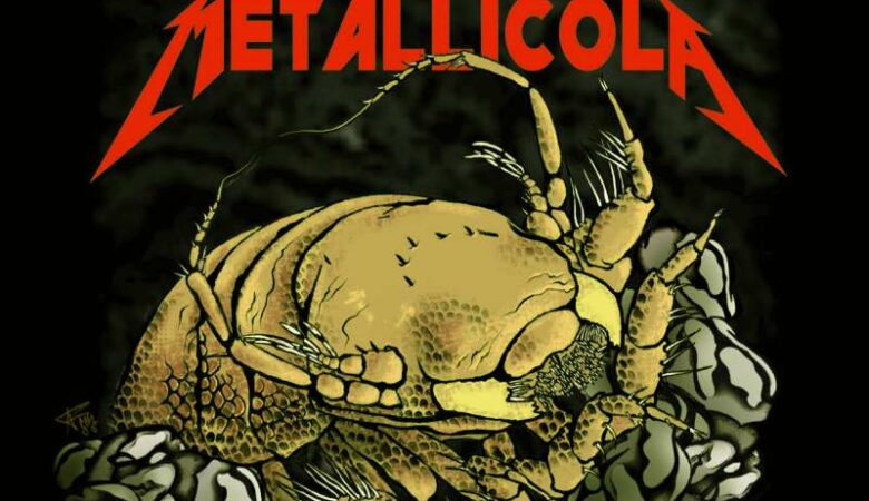 Το νέο οστρακόδερμο που ονομάζεται… Metallica