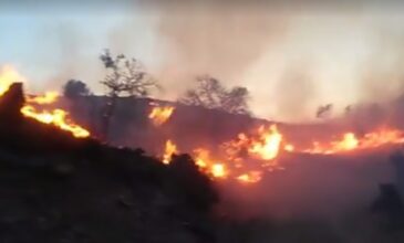Μεγάλη πυρκαγιά στο Λιμνάκαρο στο Οροπέδιο Λασιθίου