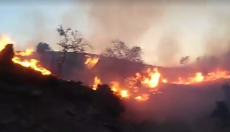 Μεγάλη πυρκαγιά στο Λιμνάκαρο στο Οροπέδιο Λασιθίου