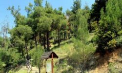 Παρατείνεται η απαγόρευση κυκλοφορίας στο Σέιχ Σου λόγω του πολύ υψηλού κινδύνου φωτιάς