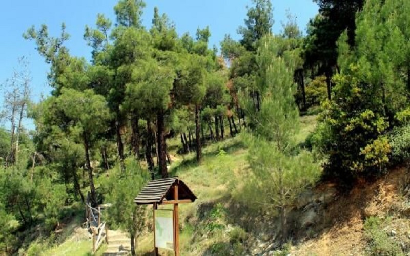Παρατείνεται η απαγόρευση κυκλοφορίας στο Σέιχ Σου λόγω του πολύ υψηλού κινδύνου φωτιάς