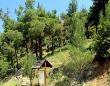 Ελεύθερος ο άντρας που έσφαξε και έγδαρε αρνί στο Σέιχ Σου για να τιμήσει το κουρμπάνι