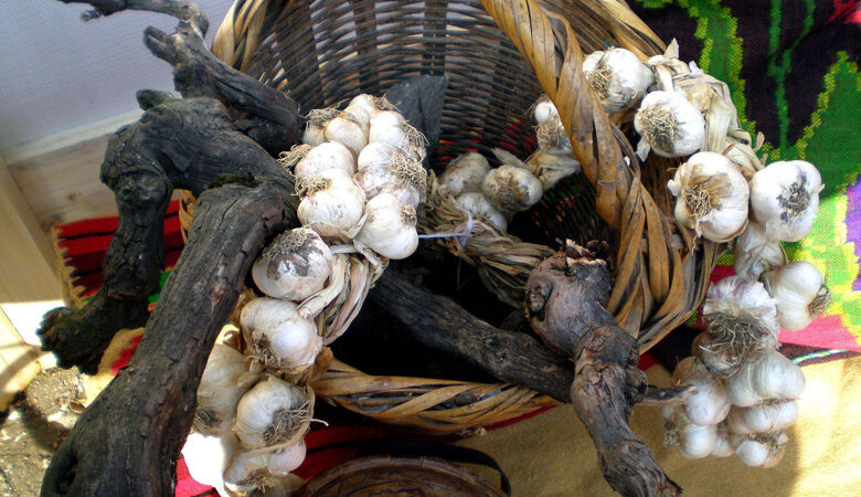 Κορονοϊός: Ανάρπαστα τα σκόρδα – Ξεπούλησαν οι παραγωγοί στον Έβρο