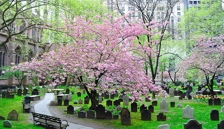 Κορονοϊός: Μακάβρια πρόταση για τάφους σε πάρκα της Νέας Υόρκης