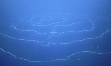 Ανακαλύφθηκε στα βάθη της θάλασσας το μακρύτερο στη Γη ζώο μήκους άνω των 120 μέτρων