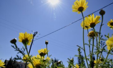 Ηλιοφάνεια και άνοδος της θερμοκρασίας την Μεγάλη Παρασκευή