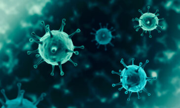 Τσαπάρε, σπάνιος θανατηφόρος ιός των ζώων μεταδίδεται από άνθρωπο σε άνθρωπο