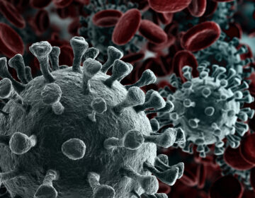 Κορονοϊός:  Νέα δεδομένα για τη μετάλλαξη του φονικού ιού
