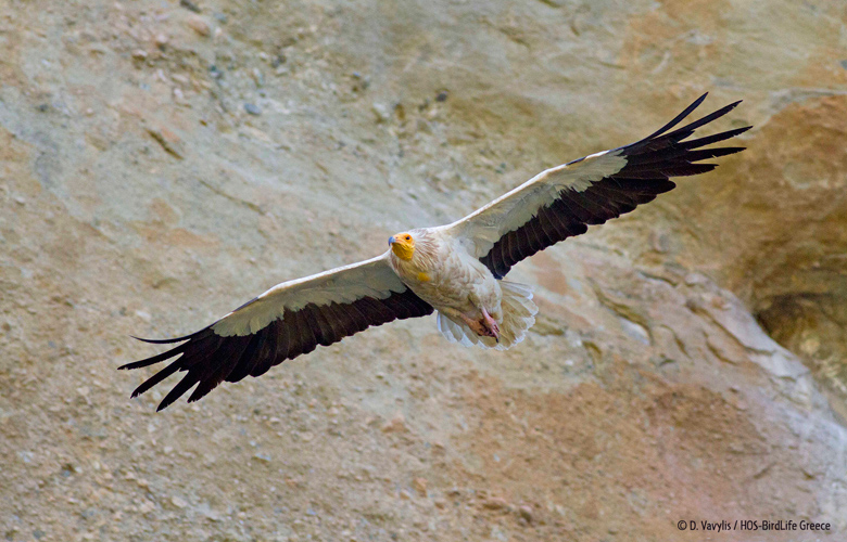 https://img.news.gr/2020/05/29/as/Asproparis_Meteora_DVavylis.jpg?v=20200529144537 https://img.news.gr/2020/05/29/as/Asproparis_Meteora_DVavylis.jpg?v=20200529144537