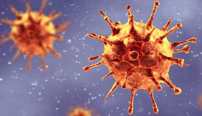 Βασιλακόπουλος: Οι μεταλλάξεις δεν μπορούν να κάνουν τους ιούς πιο θανατηφόρους