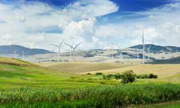 «Είμαστε υπέρ της πράσινης ενέργειας αλλά… μακριά από εμάς»