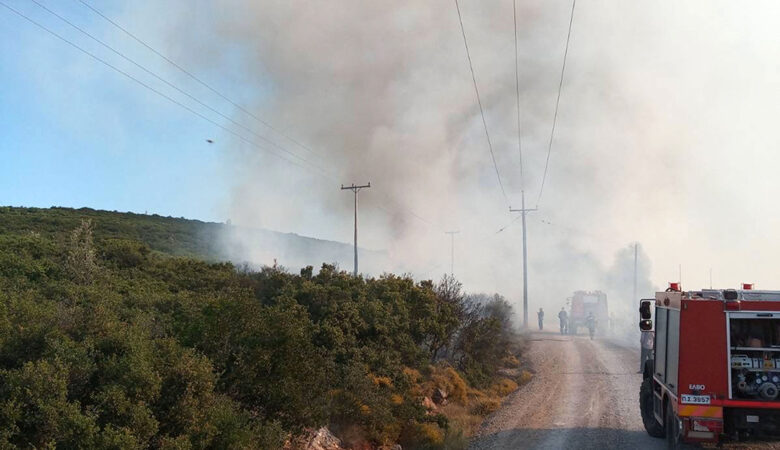 Ανεξέλεγκτη η πυρκαγιά στο Μαρτίνο- Κλειστή η Εθνική Οδός