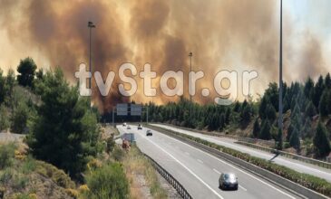 Μεγάλη φωτιά στο Μαρτίνο- Διακόπηκε η κυκλοφορία στην εθνική οδό