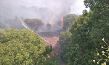Μεγάλη φωτιά στη Χίο – Μάχη να μην φθάσει σε κατοικημένη περιοχή