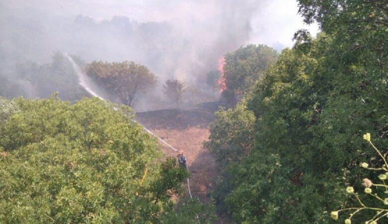Φωτιά σε δασική έκταση στη Λούτσα