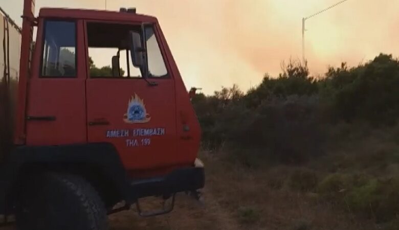 Υπό μερικό έλεγχο η πυρκαγιά σε δασική έκταση στη Ζάκυνθο